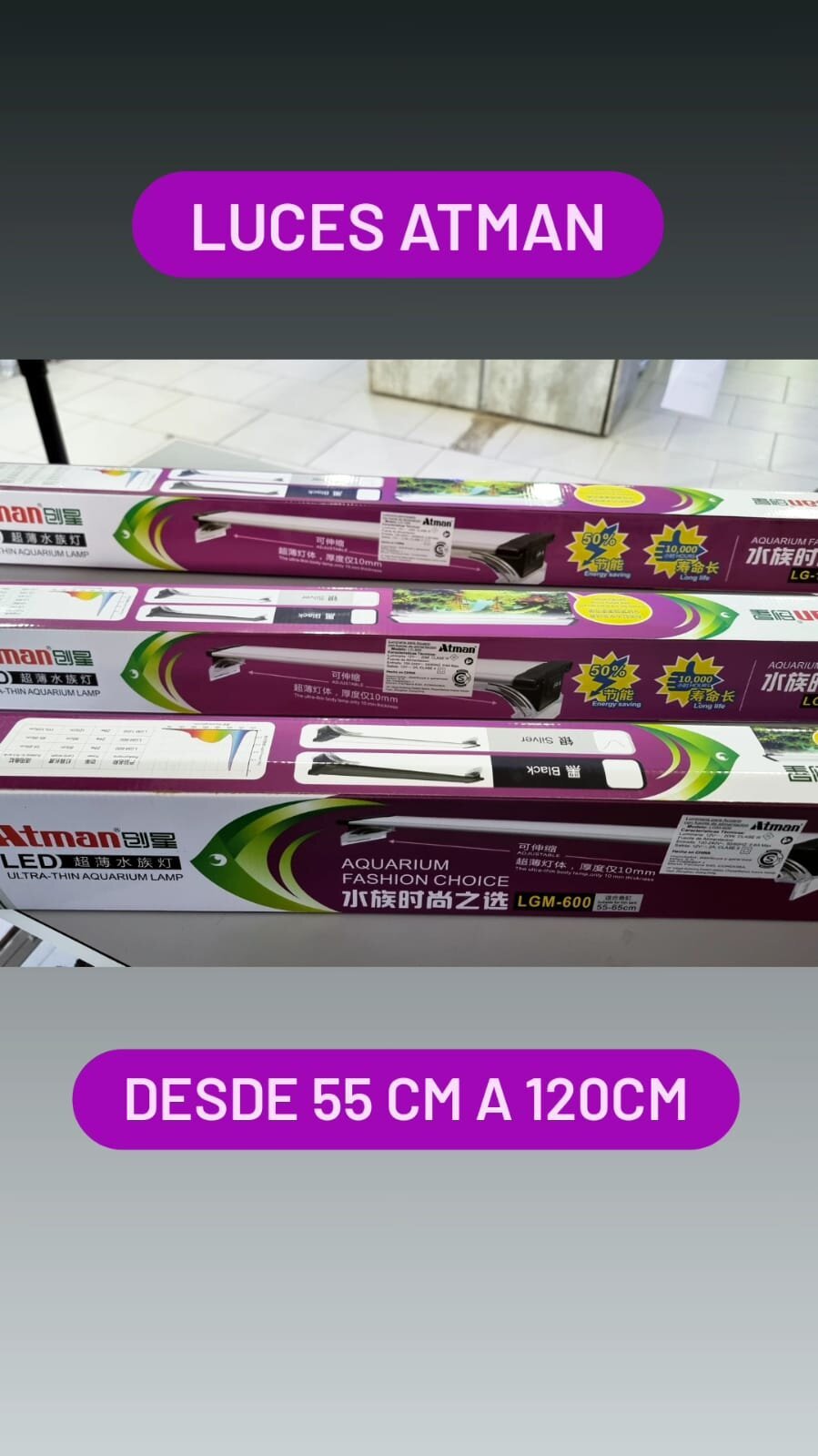 images/SYS-2QVE/WhatsApp Image 2023-11-15 at 17.48.17.jpg